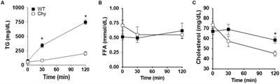 VEGFR-3 Signaling Regulates Triglyceride Retention and Absorption in the Intestine